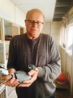 15 Hen